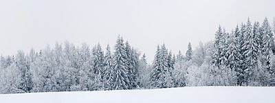 Valged jõulud