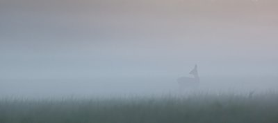 Edasi või tagasi