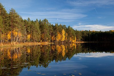 Lasa järv