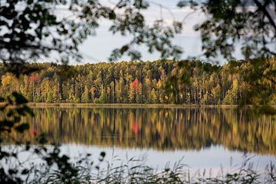 Sügis