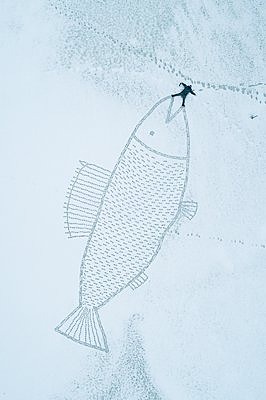 Käisin kalal