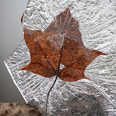 November